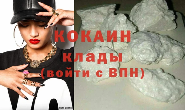 стаф Алзамай