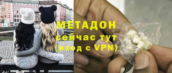 стаф Алзамай